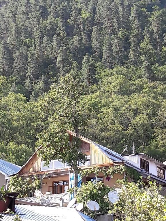 Rachvela'S Guest House 보르조미 외부 사진