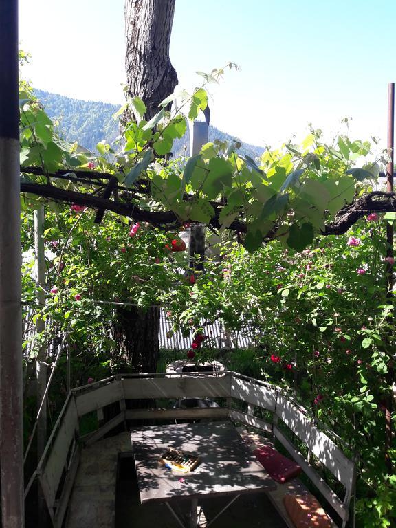 Rachvela'S Guest House 보르조미 외부 사진