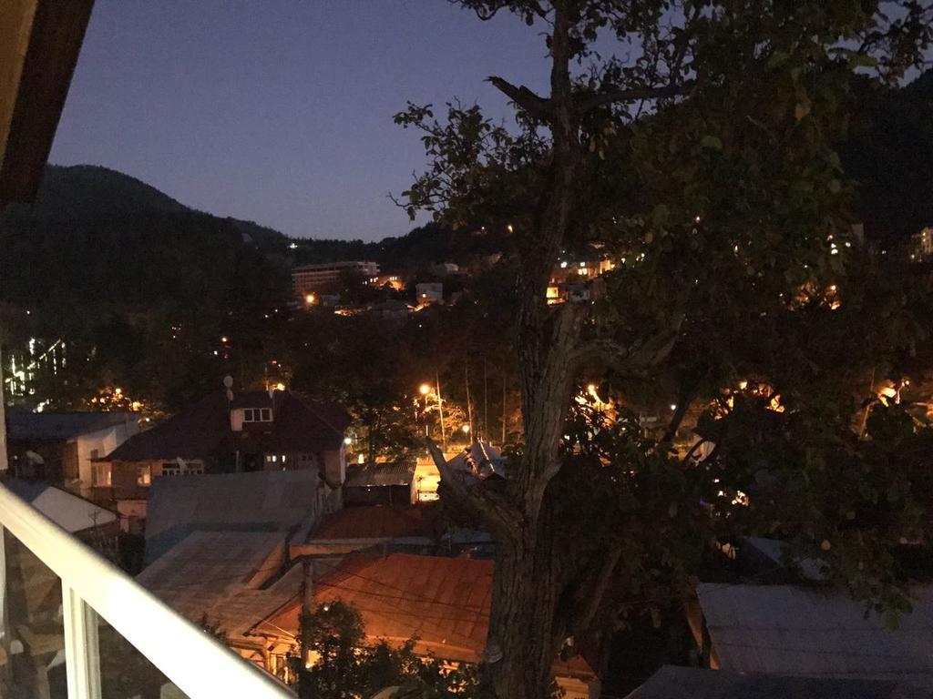 Rachvela'S Guest House 보르조미 외부 사진